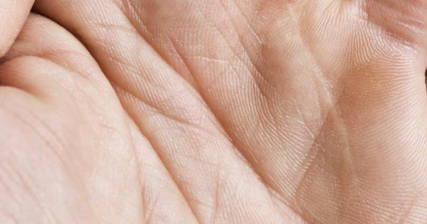 За какво служат линиите преминаващи през дланите на човешката ръка