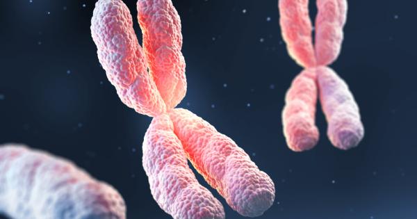 Всеки път когато дадена клетка във вашето тяло се размножава