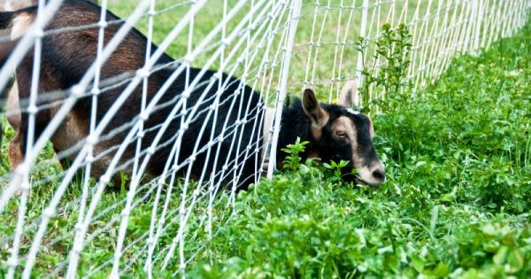 В книгата си The Power of Regret Силата на съжалението