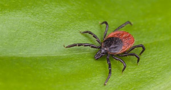 Единствените клинични тестове които се провеждат в момента на ваксина