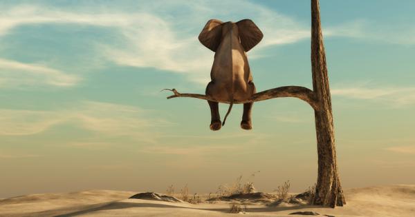 Езикът който използваме оформя нашата реалност Думите ни отразяват нашите