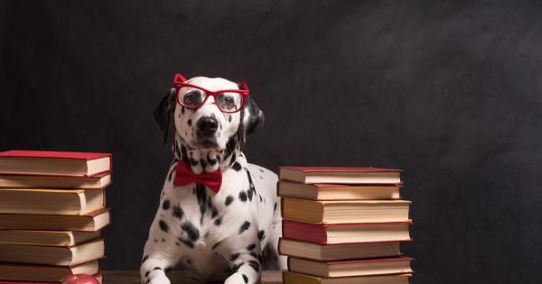 Разбира ли ме моят домашен любимец Това е въпрос който