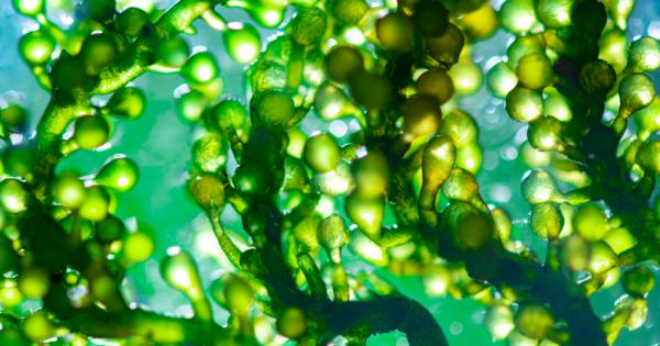 Резултатите от серия от експерименти от екип от американски учени