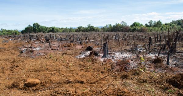 Амазония се бори с рекордни пожари от началото на годината