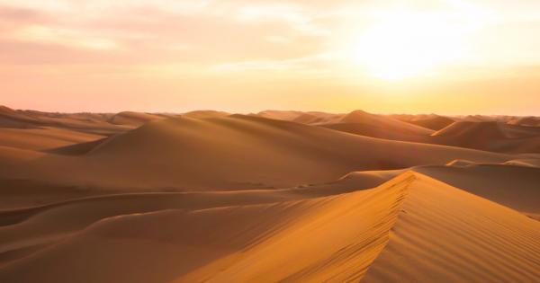 Случвало ли ви се е някога да се запитате докато