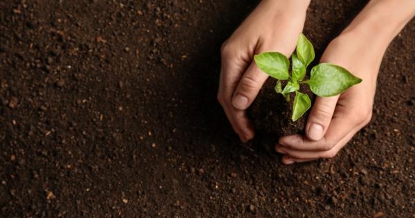 Изследователи от университета на Линшьопинг Швеция са създали електропроводима почва