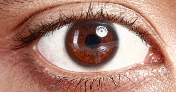 Годишните сезони влияят на начина по който очите ни възприемат