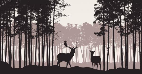 Имало едно време един крал и като всеки владетел той