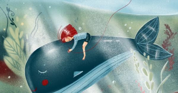 Един женски гърбат кит се заплел в паяжина от риболовни