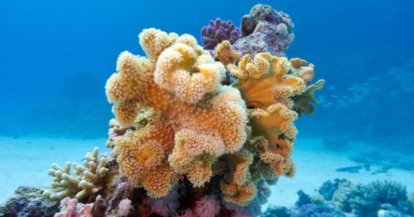 Изследователи от Университета на Нов Южен Уелс в Сидни изчислиха