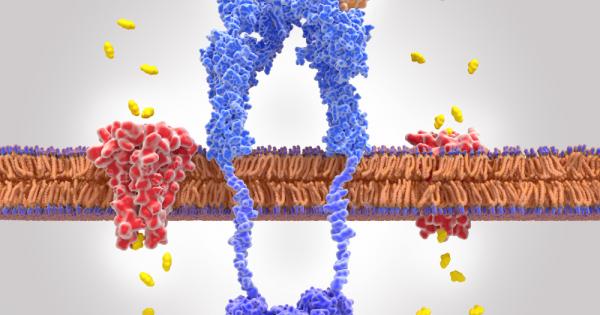 Какво означава инсулинова резистентност Когато се храним много храни се разграждат