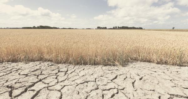 Изминалата 2020 година е с най голяма положителна аномалия в големи