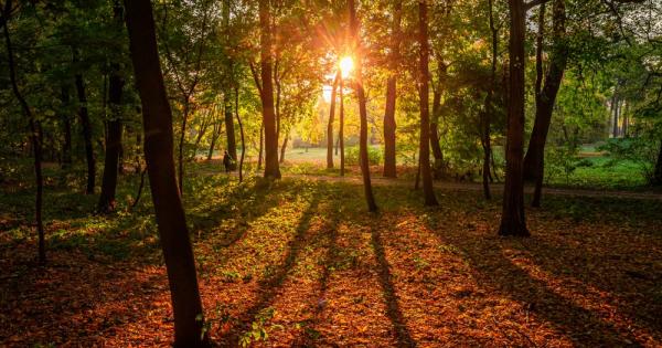 Октомври 2022 г счупи множество горещи рекорди в различни части