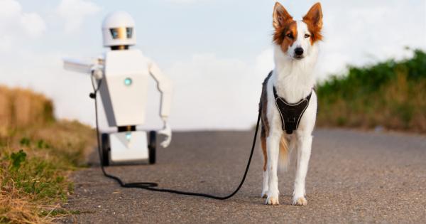 Унгарски учени установиха че кучетата могат да се привързват и към