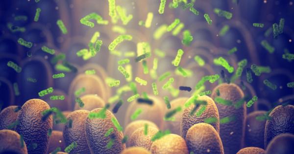 Възможно ли е изпражненията да са ключът към вечната младост