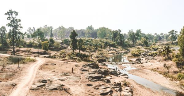 Годината се характеризира с положителни аномалии в голяма част от