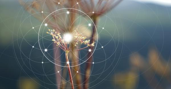 Да бъде хлябът бял – не е достатъчно Да имаме коли