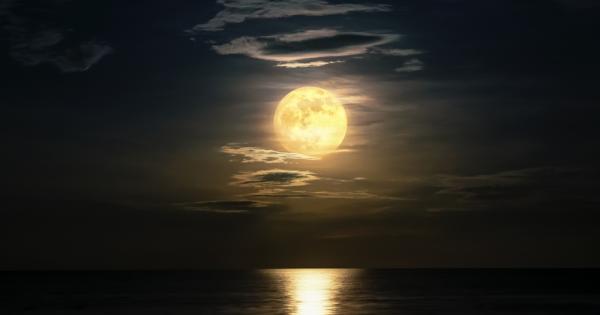 Сънят е едно от най важните неща които ние хората правим