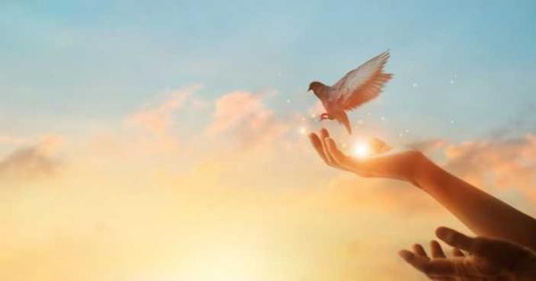 Ако можеш да погледнеш към залеза и да се усмихнеш