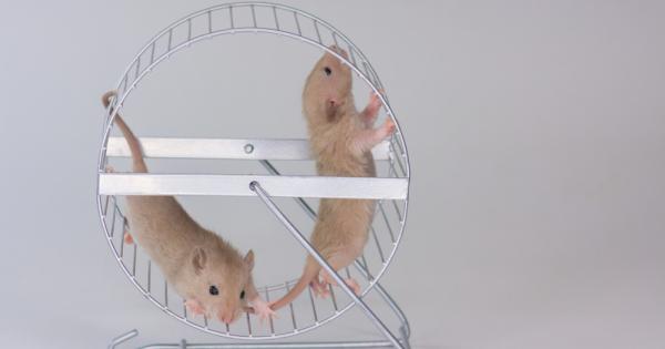 Може ли физическата активност да подпомогне производството на сърдечна мускулна