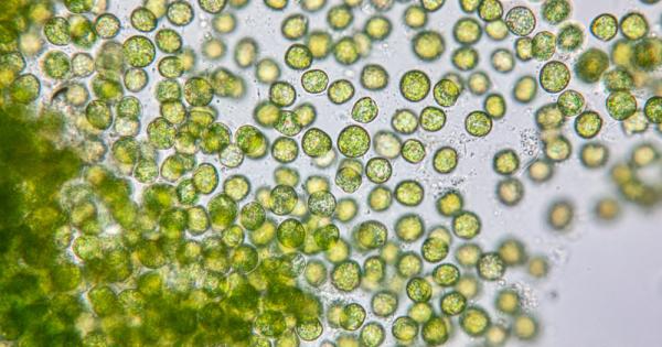 Технологиите за улавяне и съхранение на въглероден диоксид са решение