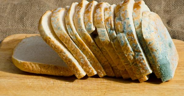 Прахосването на храна е ужасно нещо но в забързаното си