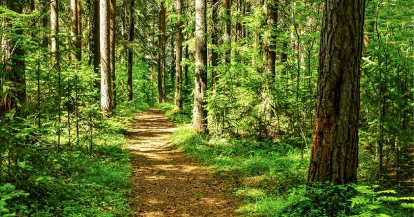 За първи път в историята на човечеството повече от 50