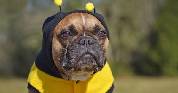 Всяка зодия има неща с които цял живот не може