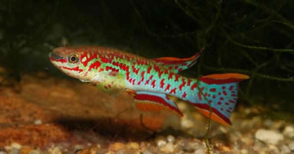 Американски учени откриха връзка между конкурентната среда и еволюцията на