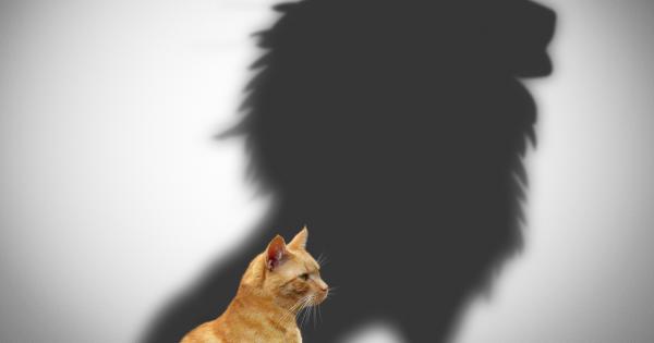 Често причината за собственото ни нещастие се крие у самите