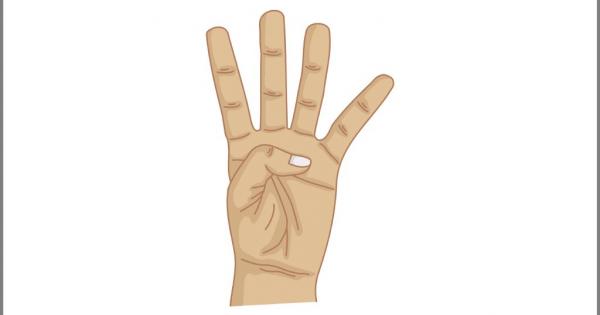 Пръстите на всеки човек имат различна форма Големи малки с