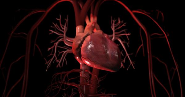 Ускореният пулс в състояние на покой увеличава риска от смърт