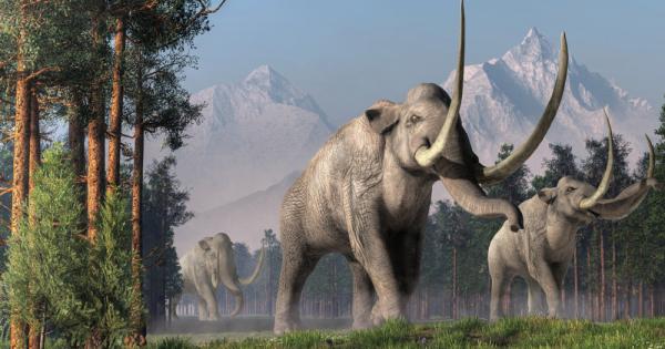 Учени са идентифицирали ДНК от животни растения и микроби датираща