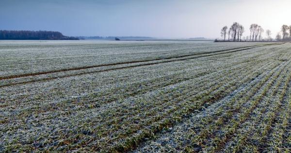 Два противоположни рекорда бяха отбелязани за последните 5 години най висок