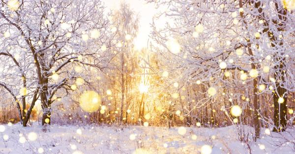 Тази година се очаква сурова зима с тежки арктически студове