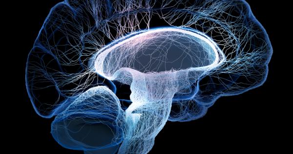 Сканирането на мозъка на 72 годишен мъж диагностициран с изключително агресивна
