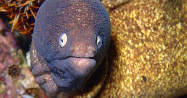 Мъж от Синхуа в източната китайска провинция Дзянсу едва не