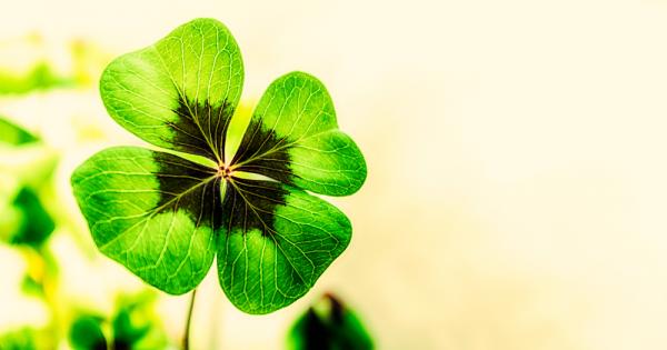 Някои хора имат късмет във всичко Те преминават от една