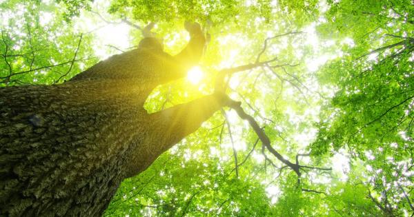 Слънчевият ден извиква добрия самарянин в нас Това показва ново