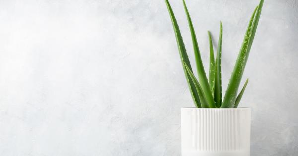 1 Зелена лилия
Зелената лилия отговаря на два важни критерия определящи