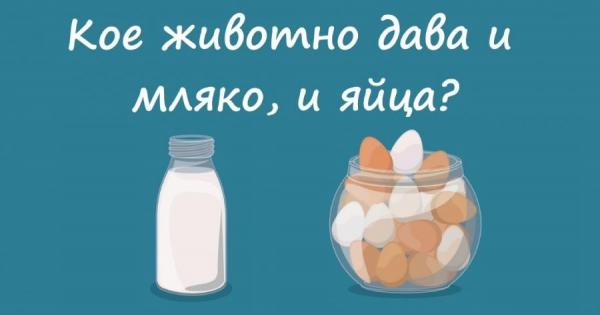 Опитайте се да отговорите на тези 5 въпроса Дори и