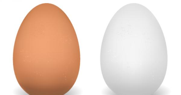 Отговорът няма никакво значение Много хора си мислят че белите яйца