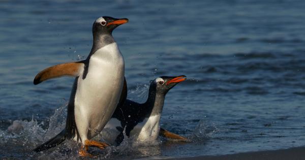 Тази планета обитават такива невероятни създания За много от тях