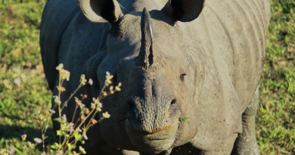 Южноафрикански учени започват тази седмица да инжектират радиоактивни материали в