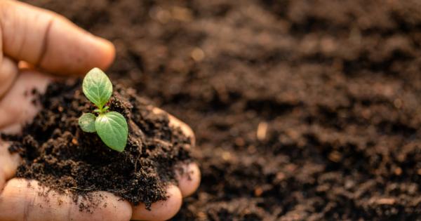 Без калций почвата и растенията не биха могли да съществуват