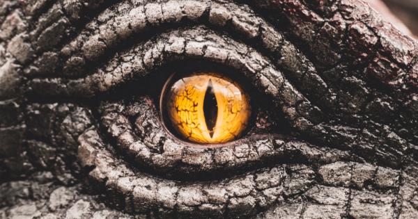 Миналото е обширно и загадъчно място простиращо се от Големия