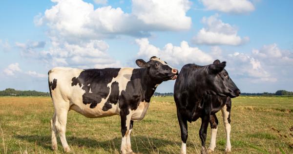 Наблюдателно изследване на група млекодайни крави публикувано в Frontiers in