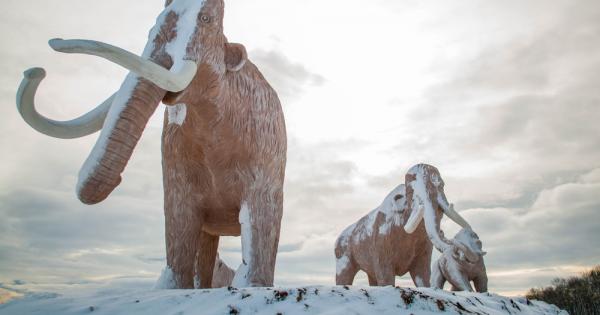 Учени извлякоха най старата известна ДНК от мамут живял преди 1 2