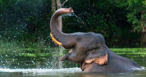 Хората се поздравяват с думи ръкостискане и помахване или целувка