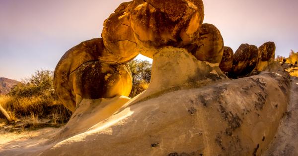 Тези невероятни живи камъни известни в Румъния като трованти които